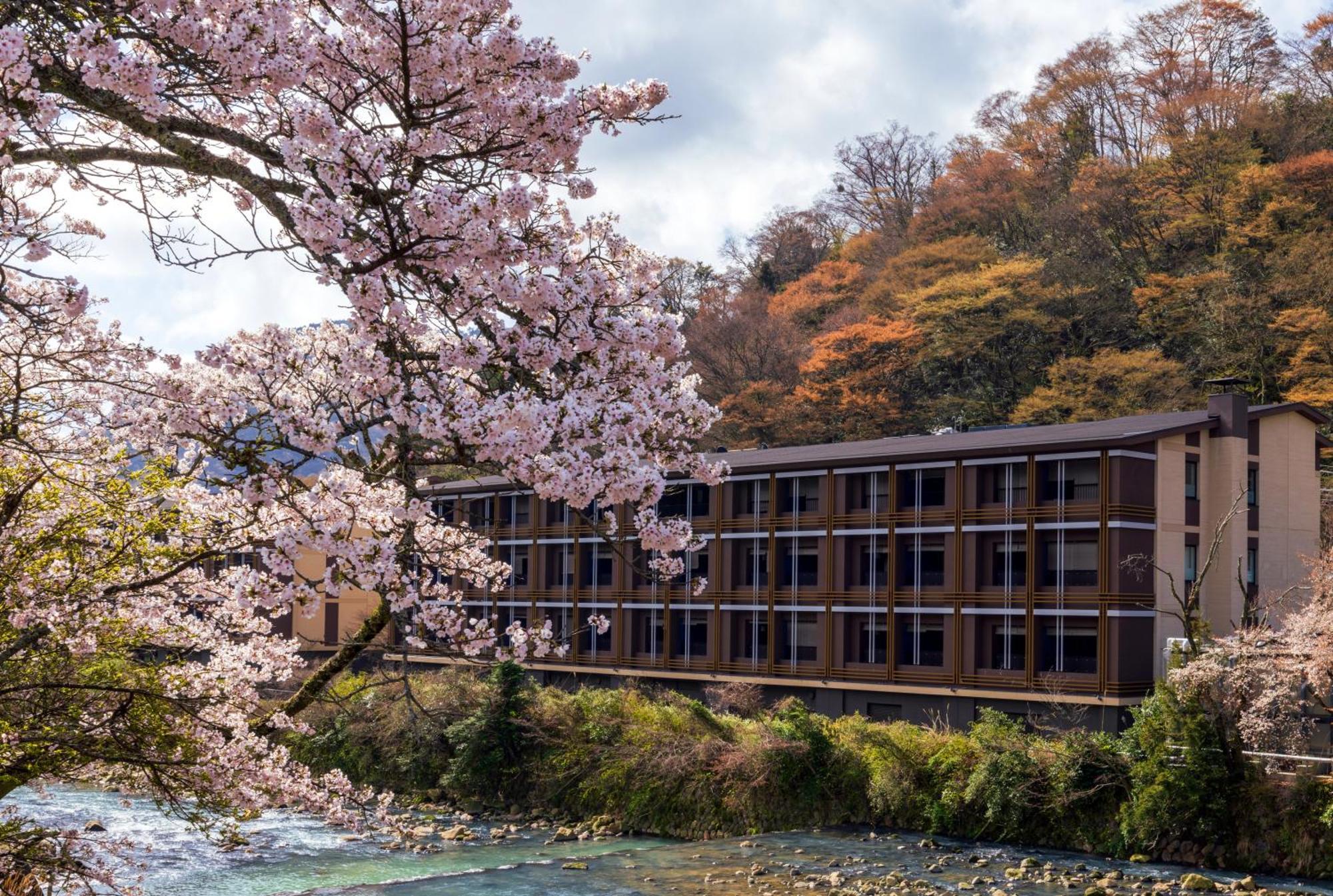 Hotel Indigo Hakone Gora By Ihg Luaran gambar